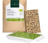 Heimgart Plaque de Semis Microgreens - Chou Rouge - 1 pcs