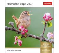 Heimische Vögel Postkartenkalender 2027 - Wochenkalender mit 53 Postkarten: Wochenkalender im Postkarten-Format mit Vogelporträts. Tischkalender mit ... neuen Postkarten zum Sammeln und Verschicken