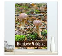 Heimische Waldpilze (hochwertiger Premium Wandkalender 2026 DIN A2 hoch), Kunstdruck in Hochglanz: Bekannte und beliebte Pilze der heimischen Wälder