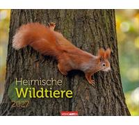 Heimische Wildtiere Kalender 2027: Von Fuchs ichhörnchen: Naturkalender im Großformat mit heimischen Tieren. Posterkalender für Tierfreunde. Hochwertiger großer Wandkalender.