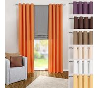 heimtexland ® Rideau à œillets en Microfibre avec Un Joli Aspect léger Orange uni Opaque et translucide 245 x 140 cm - Rideaux Typ117