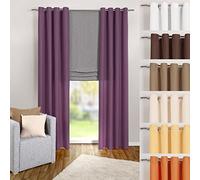 heimtexland ® Rideau à œillets Violet uni Opaque mais translucide H x l 245 x 140 cm - Rideau décoratif en Microfibre avec Magnifique tombé léger - Rideau Violet Typ117
