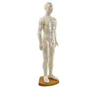HeineScientific modèle d'acupuncture