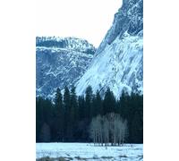 Heinrich Findelkind oder: Die Gründung des Hospizes auf dem Arlberg: Eine Erzählung