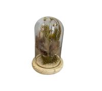 HEITMANN DECO Fleurs séchées dans Une Cloche en Verre, Naturel, 11,5 x 11,5 x 17 cm