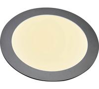 Heitronic 27636 Panneau à LED 12 W blanc chaud argent