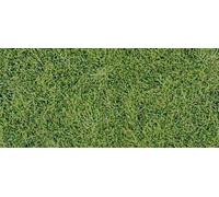 Heki 1870 - Tapis d'herbe sauvage vert prairie, 40x24 cm, 2 pièces