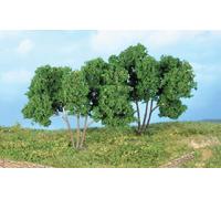 HEKI 19113 Paquet De Deux Arbres De Charme (Hauteur 9 Cm)