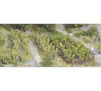 HEKI 19136 Paquet D'Arbres Pour Vignoble (Hauteur 2,5 - Pièces 36)