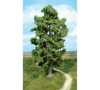 Heki 1942 Cliff Maple Tree, Hauteur 30 cm, Multicolore