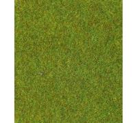 Heki 30902 Tapis de Sol Vert Clair 100 x 200 cm