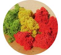 HEKI 3214 Mousse D'Île Triée 30 Grammes (100Gr. 13,30 €) NEUF