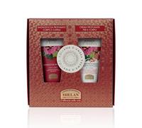 Helan Amber - Coffret cadeau femme avec shampoing et gel douche 2 en 1 et crème hydratante parfumée pour le corps. Fabriqué en Italie.