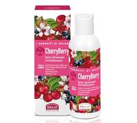Helan I Sorbetti CherryBerry - Revitalising, Scented Body Cream with Antioxidant Vitamin C & E, Blackcurrant, Black Cherry - Gentle Moisturiser & Body Milk with Sweet Almond Oil - Made in Italy, 150ml