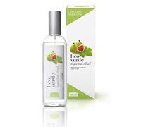Helan, I Profumi della Casa, Parfum Maison Spray sans Gaz avec Batonnets Diffuseur Parfum au Nectar de Figue Sauvage - Diffuseur Parfum Maison Fruité, Idéal comme Cadeau Noel, 100 ml - Made in Italy