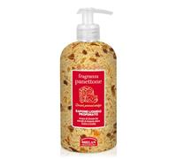 Helan, Panettone - Savon liquide parfumé pour les mains et le corps, pour les mains et mousse de bain d'origine végétale au parfum d'agrumes, gel douche pour les peaux sensibles, mousse de bain 500 ml