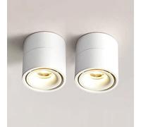 HELCEKOU Spot LED orientable et Discret pour éclairage intérieur, 7 W, pour Tableaux et galeries d'art, plafonnier ou Applique Murale pivotante en Aluminium.