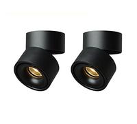 HELCEKOU Spot LED orientable et Discret pour éclairage intérieur, 7 W, pour Tableaux et galeries d'art, plafonnier ou Applique Murale pivotante en Aluminium.