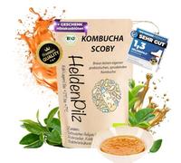 HeldenPilz® Champignon à thé bio Kombucha - Scoby vital et puissant avec liquide de racine | Pour 6 l de kombucha | Garantie de succès | 100 % naturel, durable