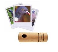 Helen Baud Appeau palombe