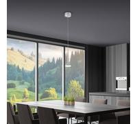 Helestra FLUTE Suspension LED à 1 source lumineuse, 16/2001.04,