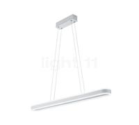Helestra Liv Suspension ovale LED
