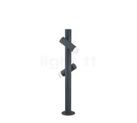 Helestra Loci Borne lumineuse LED graphite Ce luminaire comporte des modules à LED prémontés de classes énergétiques A A++, A+, A