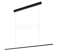 Helestra Loopy Suspension LED