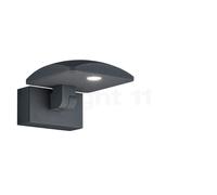 Helestra Lur Applique LED