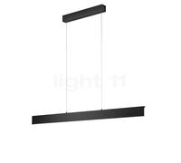 Helestra Nex Suspension LED