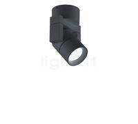 Helestra Oz Spot LED noir , fin de série
