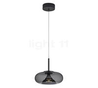 Helestra Sica Suspension LED