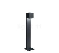 Helestra Siri 44 Borne lumineuse LED