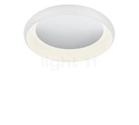Helestra Tyra Plafonnier/Applique LED