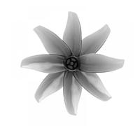 Hélices CCW CW 2015 2.0x1.5 Pouces 50mm, 4 Paires, 8 pièces, Compatible avec Moteur sans balais à coupelle Creuse, Compatible avec Les pièces d'avion de Drone RC(Shaft 1MM Black)