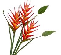 Héliconia Lot de 3 fleurs artificielles en forme d'oiseau de paradis, 63,5 cm de hauteur, rouge/orange, pour décoration de maison/bureau (orange)