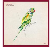 Helicopter of the Holy Ghost – Afters – CD Digipack – Import (Royaume‑Uni) – Kscope