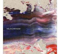 Heliochrysum - We Become Mist [Import]