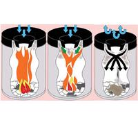 helit acier Corbeille à papier avec tête d'extinction de flamme 50 litres noir