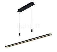 Hell Charli Suspension LED