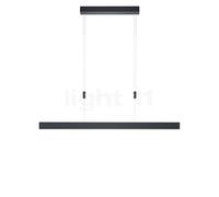 Hell Delta Suspension LED