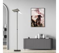 HELL EVOLO Lampadaire à éclairage indirect, LED, 60526/1-12,