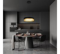 Hell Mesh Suspension LED, noir/doré - 45 cm Ce luminaire comporte des modules à LED prémontés de classes énergétiques A A++, A+, A