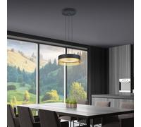 Hell Mesh Suspension LED, noir/doré - 30 cm Ce luminaire comporte des modules à LED prémontés de classes énergétiques A A++, A+, A