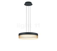 Hell Mesh Suspension LED, noir/doré - 45 cm Ce luminaire comporte des modules à LED prémontés de classes énergétiques A A++, A+, A
