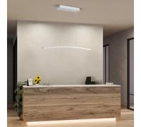 HELL SIRA Suspension LED avec fonction CCT, 20630/1-36,