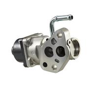 HELLA 6NU 010 171-001 Vanne EGR