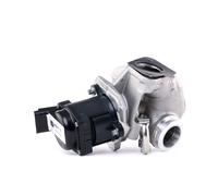 HELLA 6NU 010 171-101 Vanne EGR