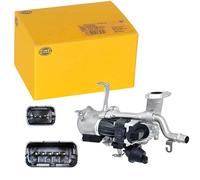 HELLA 6NU 010 171-181 Module-EGR - pneumatique-électrique - avec joints/avec radiateur-EGR - Mise à jour de l'outil de commande/du logiciel nécesssasire
