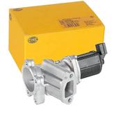 HELLA 6Nu 010 171-421 Vanne Egr - Électronique - 2Pôle - Avec Joints